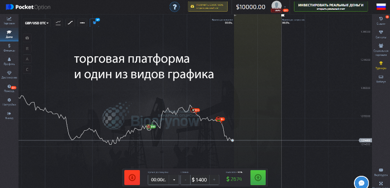 График компании внутри терминала